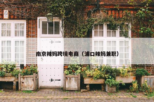 南京辣妈跨境电商（浦口辣妈兼职）