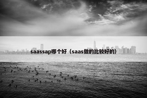 saassap哪个好（saas做的比较好的）