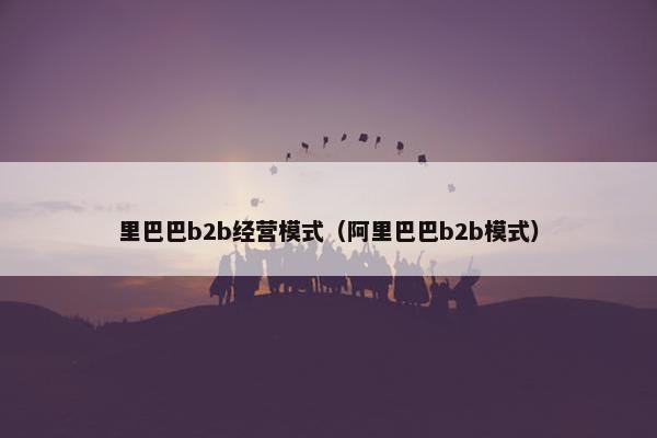 里巴巴b2b经营模式（阿里巴巴b2b模式）