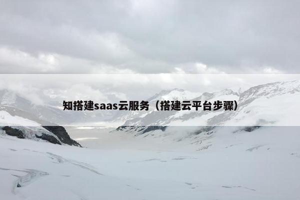 知搭建saas云服务（搭建云平台步骤）