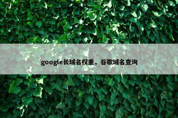 google长域名权重，谷歌域名查询