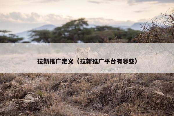 拉新推广定义（拉新推广平台有哪些）