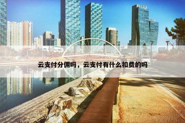 云支付分佣吗，云支付有什么扣费的吗