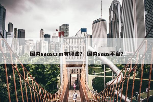 国内saascrm有哪些？ 国内saas平台？
