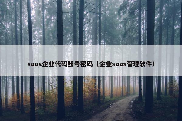 saas企业代码账号密码（企业saas管理软件）
