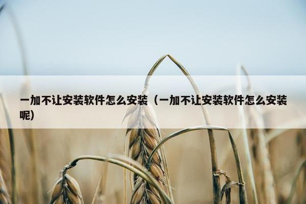 一加不让安装软件怎么安装（一加不让安装软件怎么安装呢）