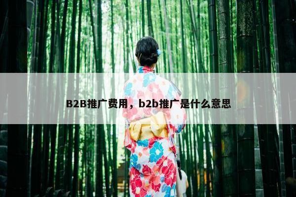 B2B推广费用，b2b推广是什么意思