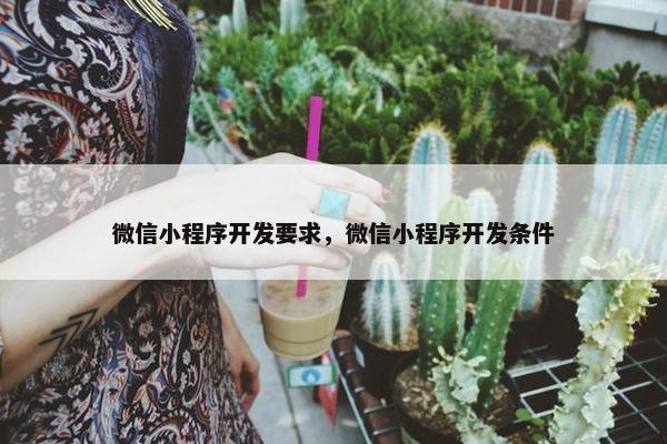 微信小程序开发要求，微信小程序开发条件