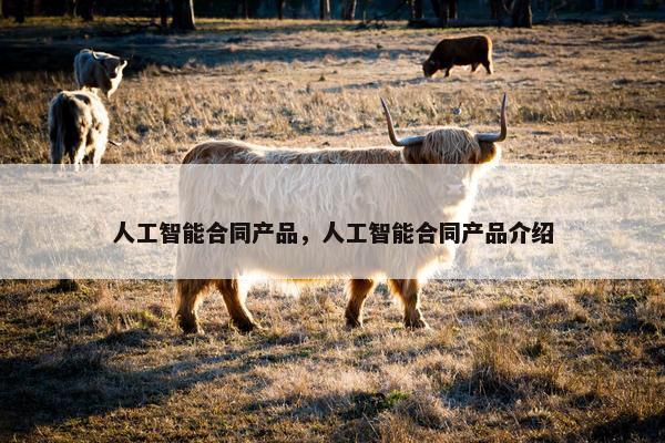 人工智能合同产品，人工智能合同产品介绍