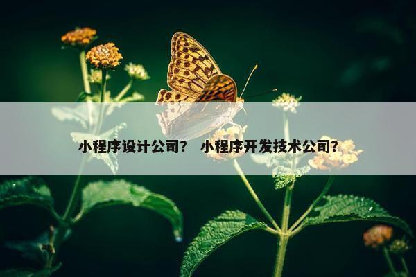 小程序设计公司？ 小程序开发技术公司？
