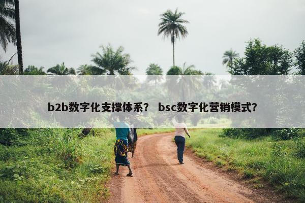 b2b数字化支撑体系？ bsc数字化营销模式？
