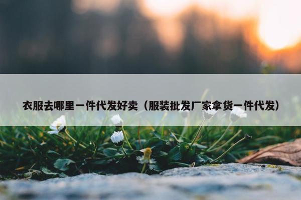 衣服去哪里一件代发好卖（服装批发厂家拿货一件代发）