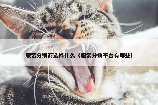 服装分销商选择什么（服装分销平台有哪些）