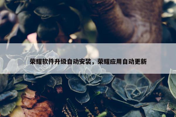 荣耀软件升级自动安装，荣耀应用自动更新