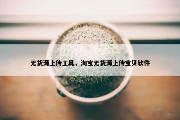 无货源上传工具，淘宝无货源上传宝贝软件