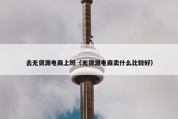 去无货源电商上班（无货源电商卖什么比较好）