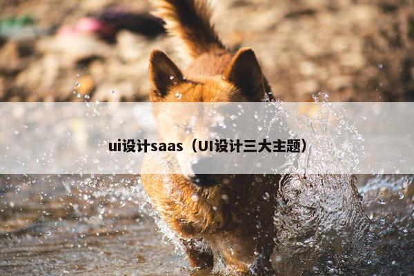 ui设计saas（UI设计三大主题）