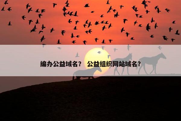 编办公益域名？ 公益组织网站域名？