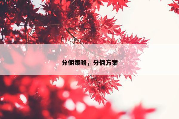 分佣策略，分佣方案