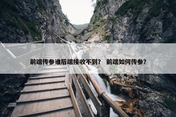 前端传参谁后端接收不到？ 前端如何传参？