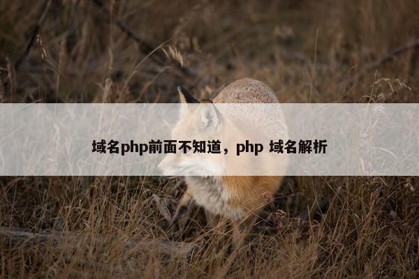 域名php前面不知道，php 域名解析