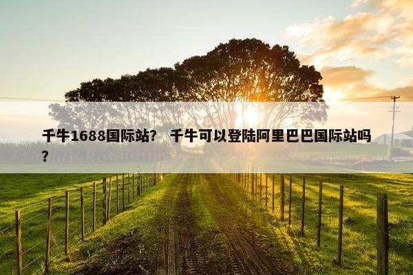 千牛1688国际站？ 千牛可以登陆阿里巴巴国际站吗？