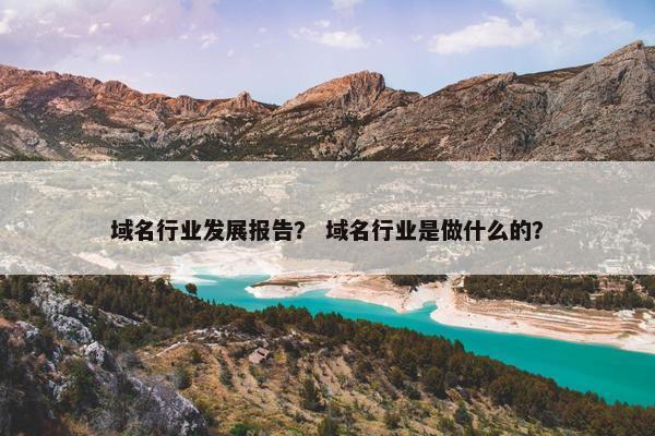域名行业发展报告？ 域名行业是做什么的？