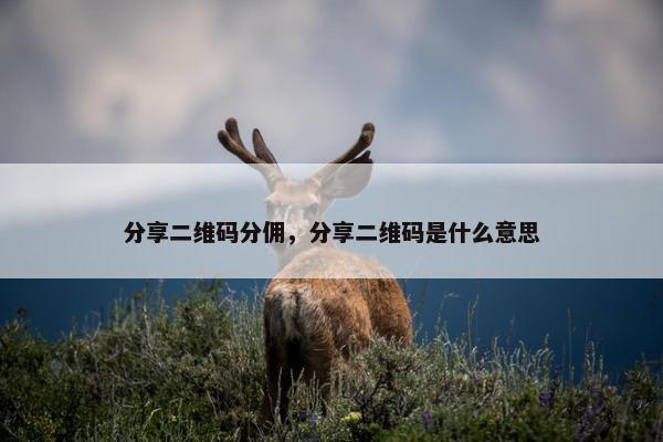 分享二维码分佣，分享二维码是什么意思