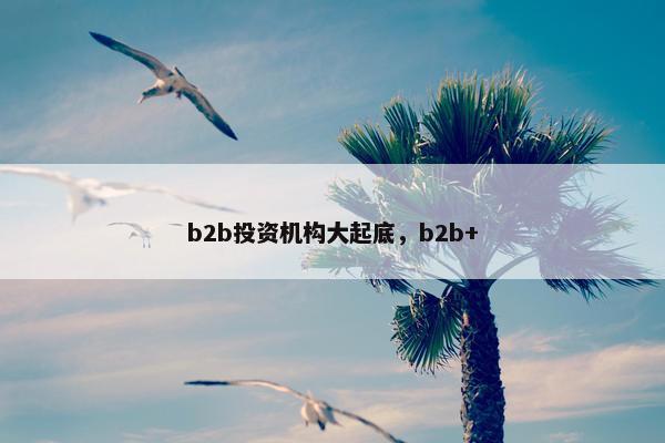 b2b投资机构大起底，b2b+
