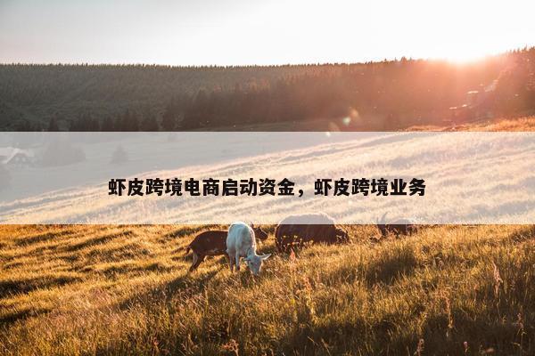 虾皮跨境电商启动资金，虾皮跨境业务