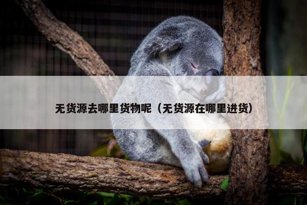无货源去哪里货物呢（无货源在哪里进货）