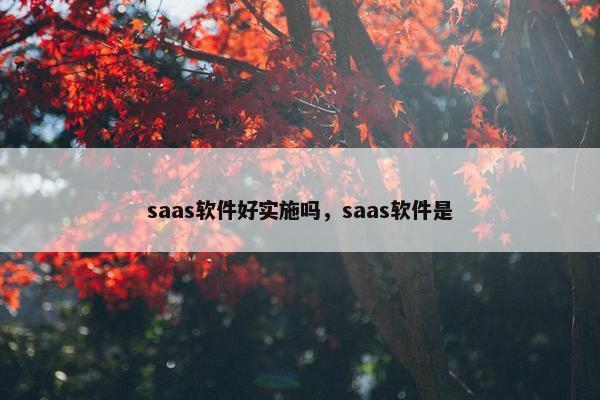 saas软件好实施吗，saas软件是