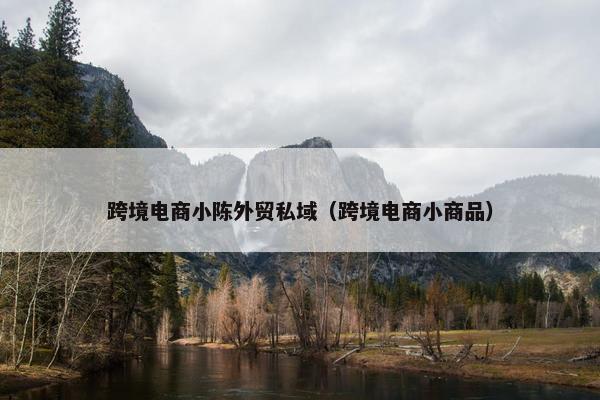 跨境电商小陈外贸私域（跨境电商小商品）