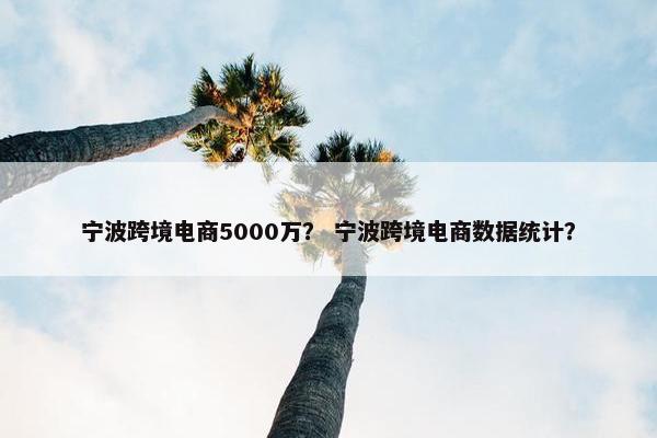 宁波跨境电商5000万？ 宁波跨境电商数据统计？