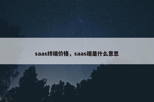 saas终端价格，saas端是什么意思