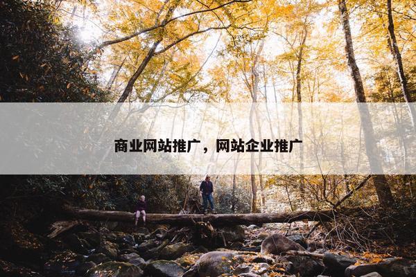 商业网站推广，网站企业推广