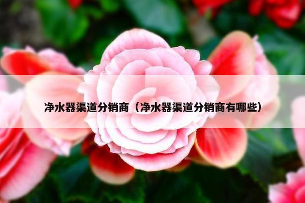 净水器渠道分销商（净水器渠道分销商有哪些）