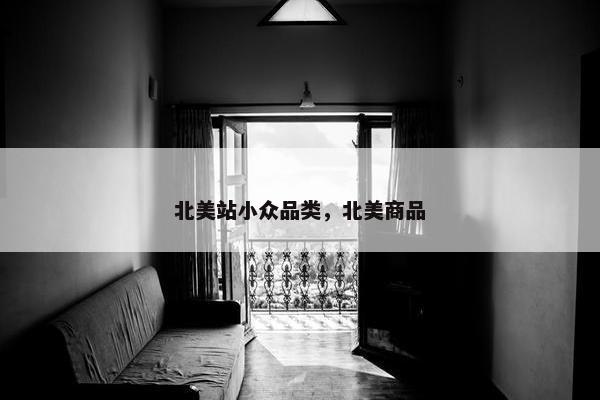 北美站小众品类，北美商品