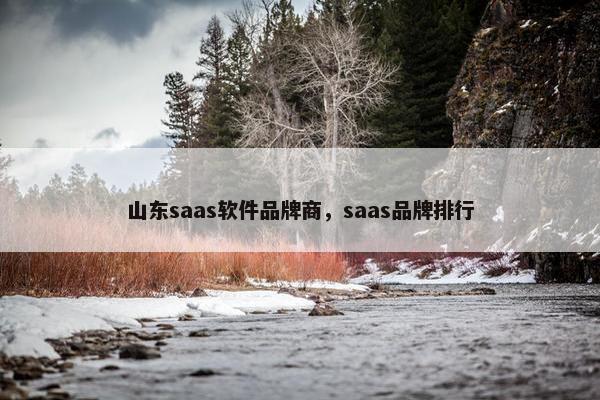 山东saas软件品牌商，saas品牌排行