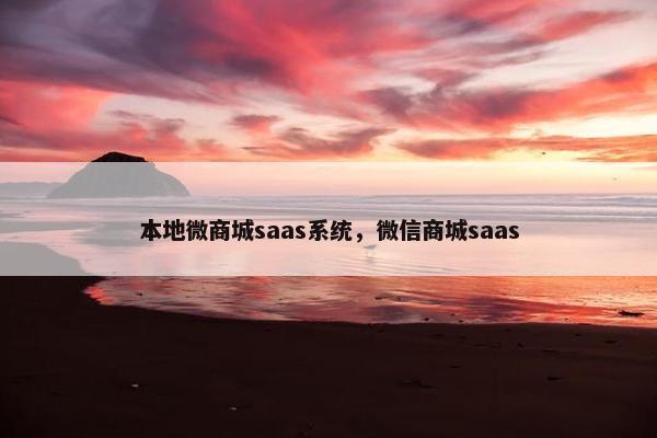 本地微商城saas系统，微信商城saas