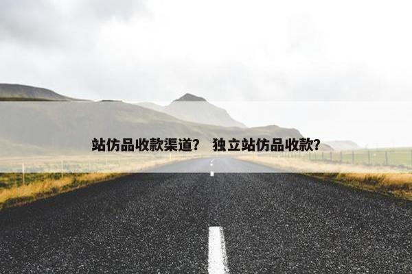 站仿品收款渠道？ 独立站仿品收款？