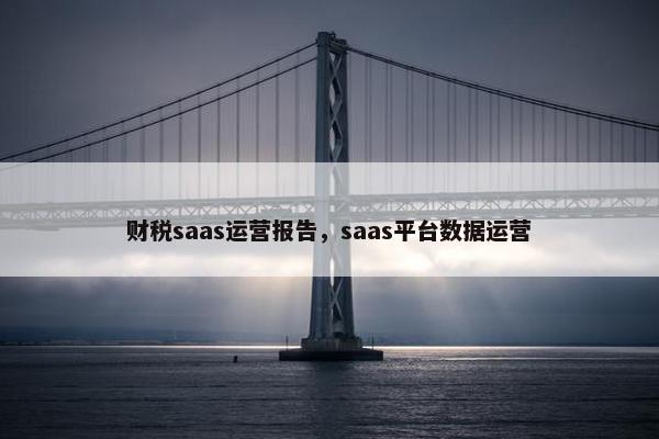 财税saas运营报告，saas平台数据运营