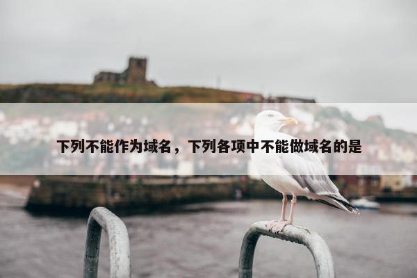 下列不能作为域名，下列各项中不能做域名的是