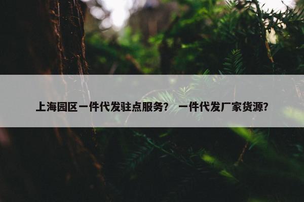 上海园区一件代发驻点服务？ 一件代发厂家货源？