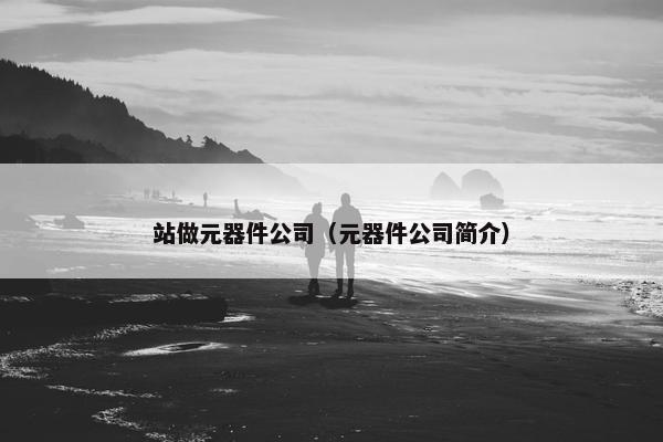 站做元器件公司（元器件公司简介）