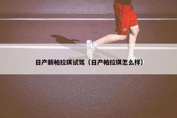日产新帕拉琪试驾（日产帕拉琪怎么样）