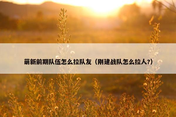 萌新前期队伍怎么拉队友（刚建战队怎么拉人?）