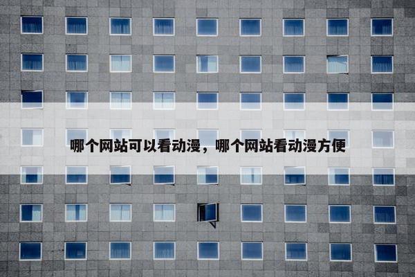 哪个网站可以看动漫，哪个网站看动漫方便