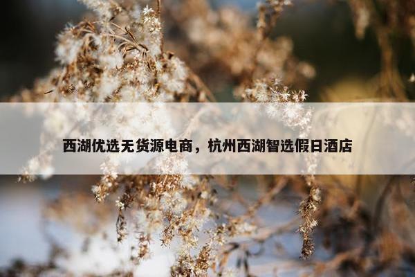 西湖优选无货源电商，杭州西湖智选假日酒店