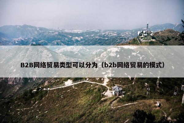 B2B网络贸易类型可以分为（b2b网络贸易的模式）